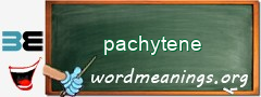 WordMeaning blackboard for pachytene